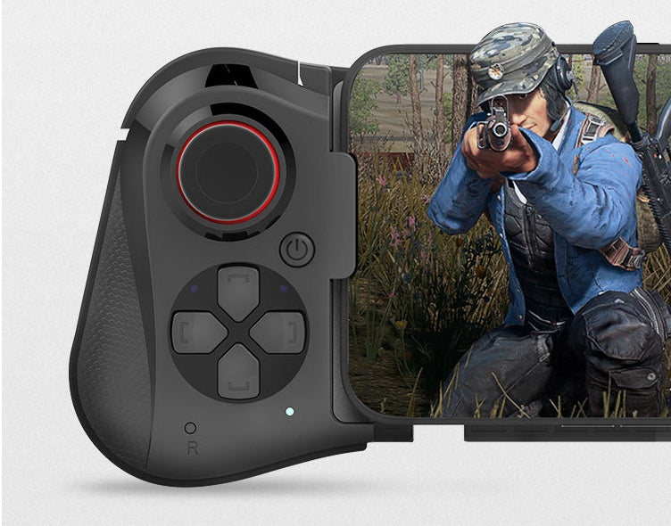 Professional Gamepad