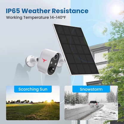 Wireless Security Monitoring Camera